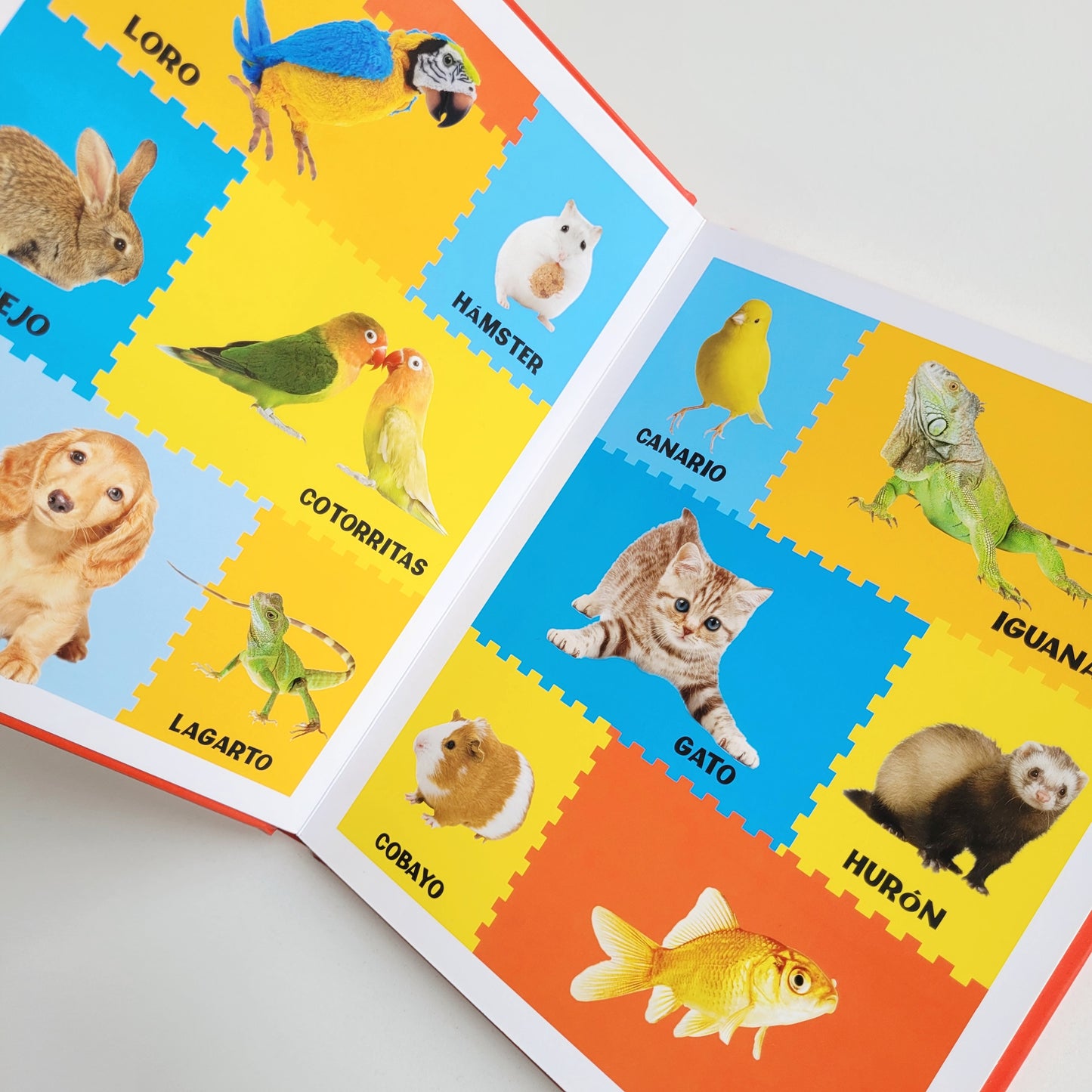 MIS PRIMERAS PALABRAS