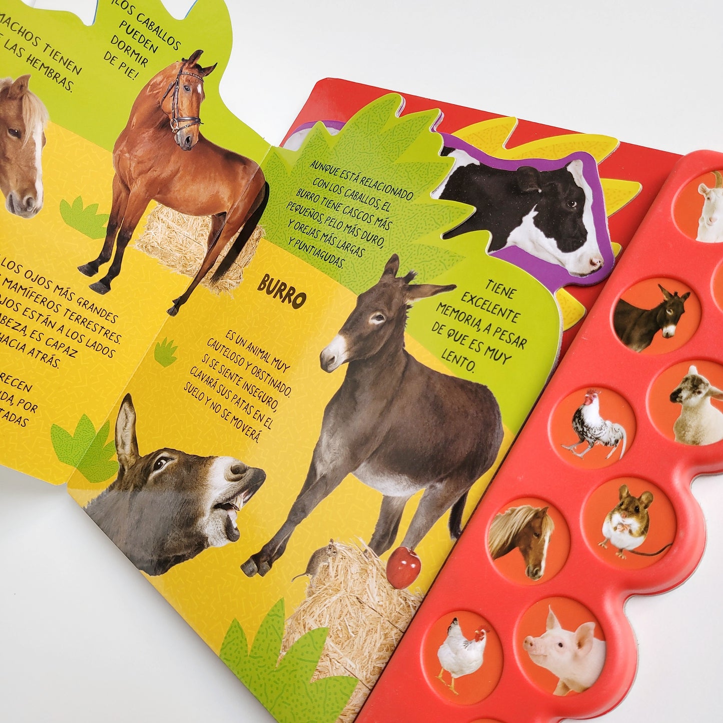 PALETA DE SONIDOS: GRANJA 🐮